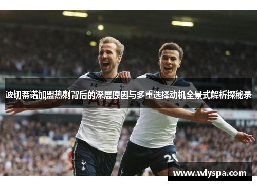波切蒂诺加盟热刺背后的深层原因与多重选择动机全景式解析探秘录