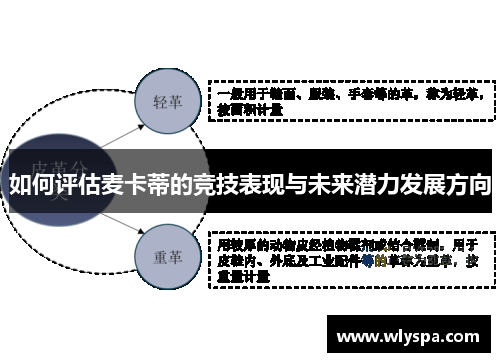 如何评估麦卡蒂的竞技表现与未来潜力发展方向