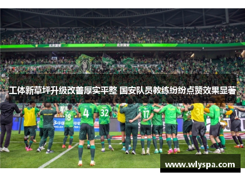 工体新草坪升级改善厚实平整 国安队员教练纷纷点赞效果显著